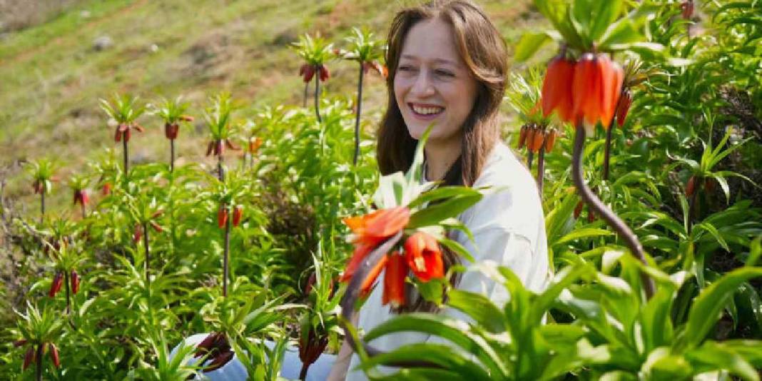 Halk ‘Ağlayan gelin’ olarak biliyor: 20 günlük ömrüyle doğayı renklendirdi 2